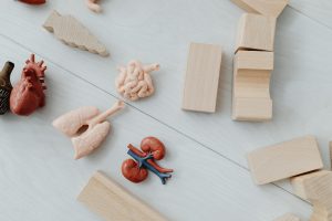 Kidney failure